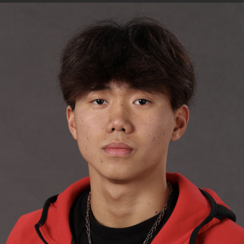 Otis Tsai